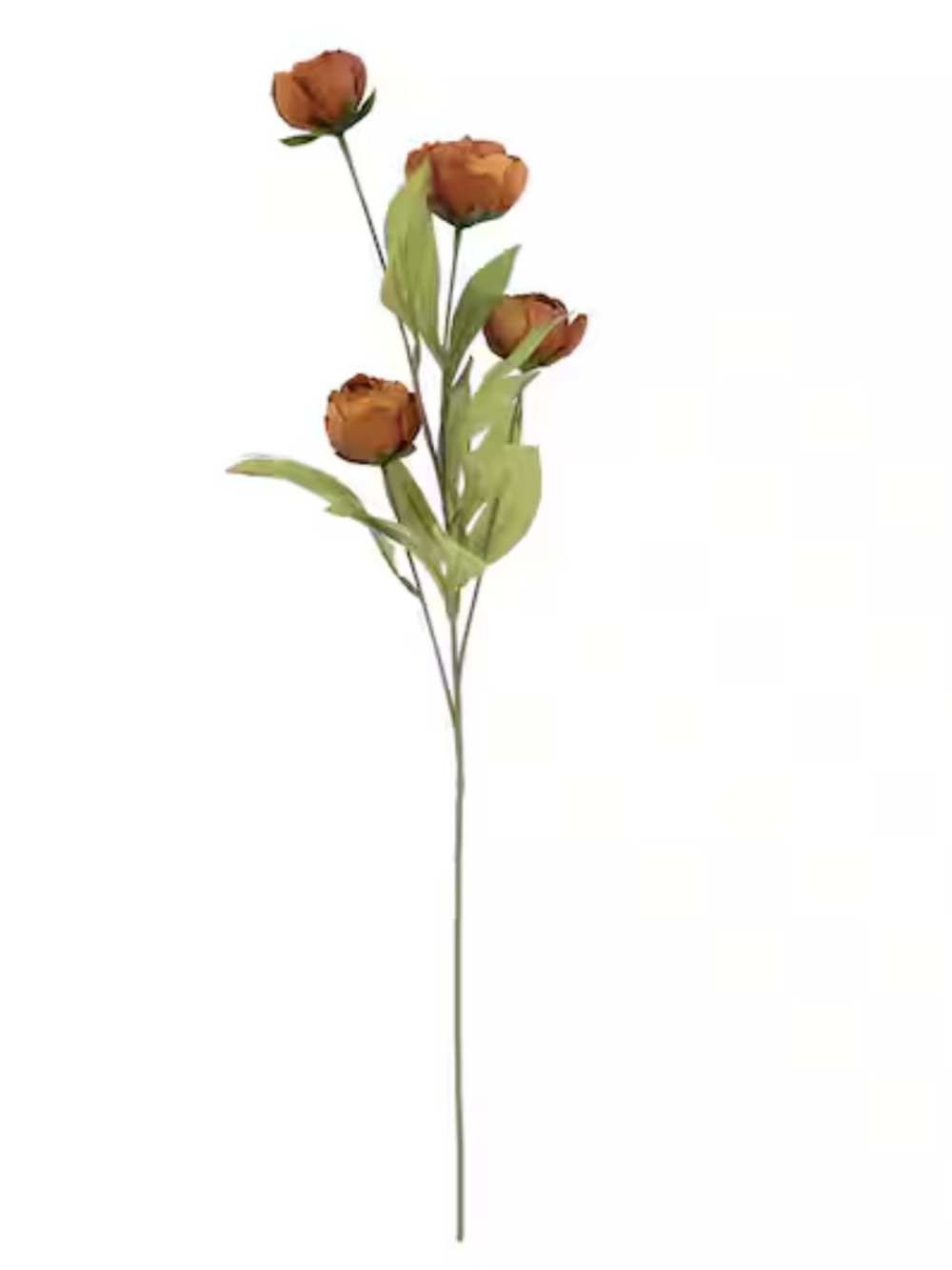 Ashland Brown peony Stem - Set of 6